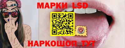 мдпв Камышлов