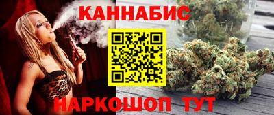 мдпв Камышлов