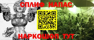 гашик Кингисепп