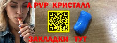 гашик Кингисепп